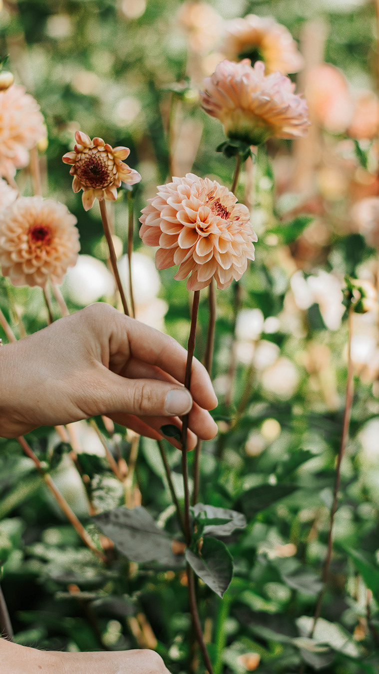 Individuelle Workshops Titelbild